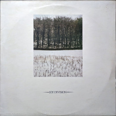 Joy Division - Atmosphere / She's Lost Control 12" Vinyl Single (Used)
