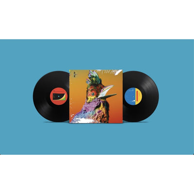 Flume - Palaces Vinyl LP