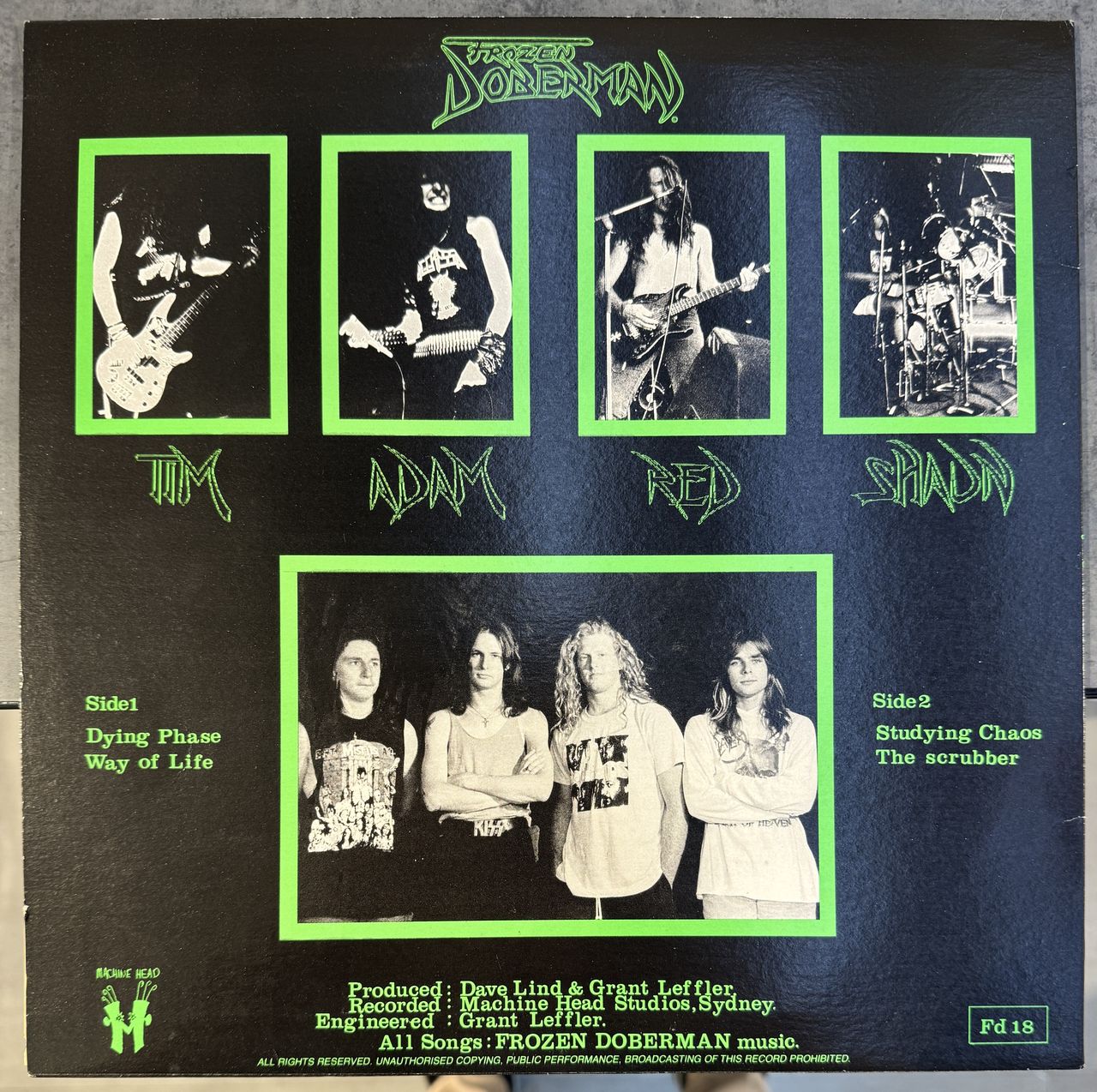 Frozen Doberman ‎– Dying Phase Vinyl 12" EP (Used)