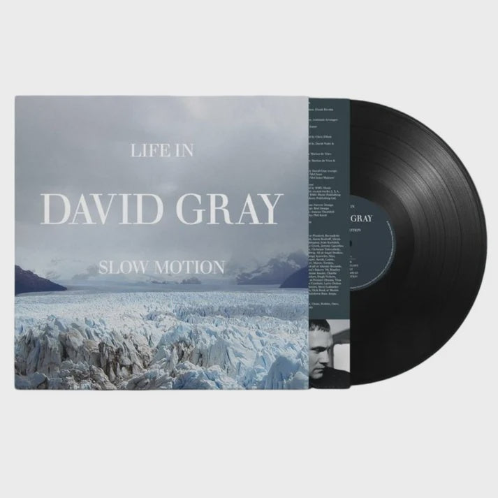 David Gray - Life In Slow Motion 20th Anniversary Edition Vinyl LP