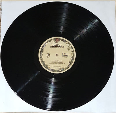 Teskey Brothers - Run Home Slow Vinyl LP (Used)