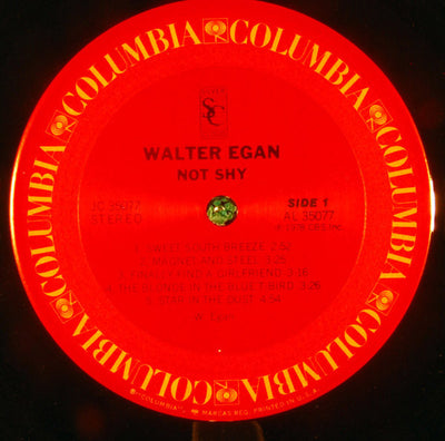 Walter Egan - Not Shy Vinyl LP (Used)