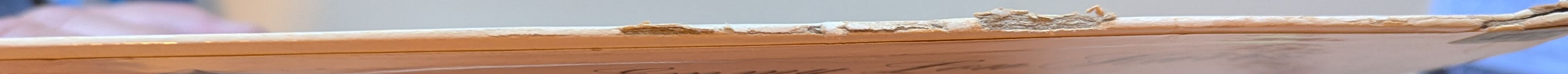 Emmylou Harris - Gliding Bird DJ Promo Vinyl LP (Used)