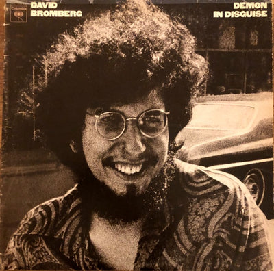 David Bromberg - Demon In Disguise Vinyl LP (Used)