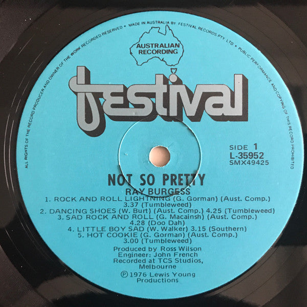 Ray Burgess - Not So Pretty Vinyl LP (Used)