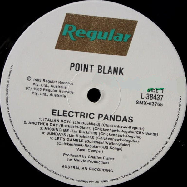 Electric Pandas - Point Blank Vinyl LP (Used)