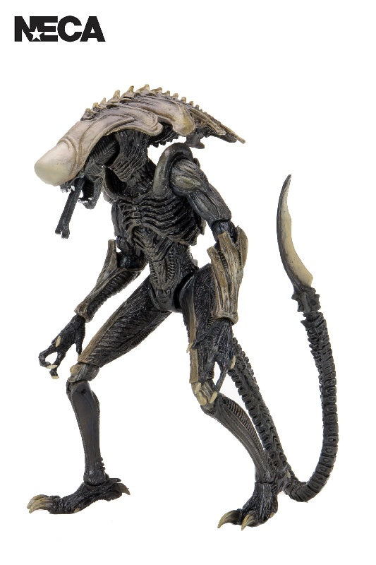 Alien Vs Predator - Chrysalis Alien 7" Action Figure