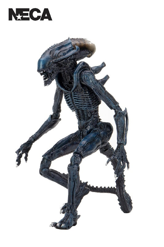 Aliens - Arachnoid Alien 7" Action Figure