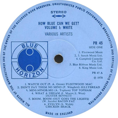 Various Artists - How Blue Can We Get? Vinyl 2LP (Used)