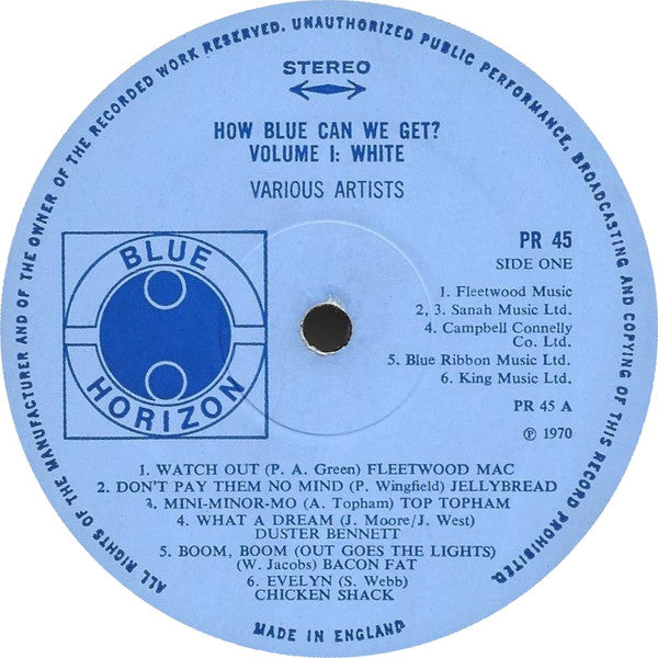 Various Artists - How Blue Can We Get? Vinyl 2LP (Used)