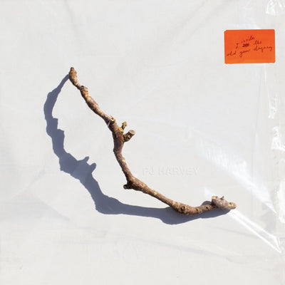 PJ Harvey - I Inside The Old Year Dying Vinyl LP (Used)