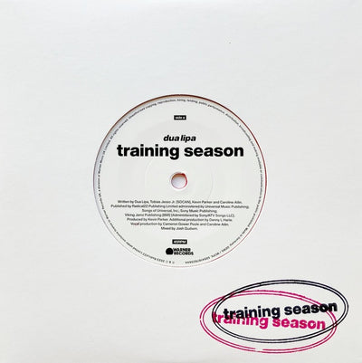 Dua Lipa - Training Season 7" Vinyl Single (Used)