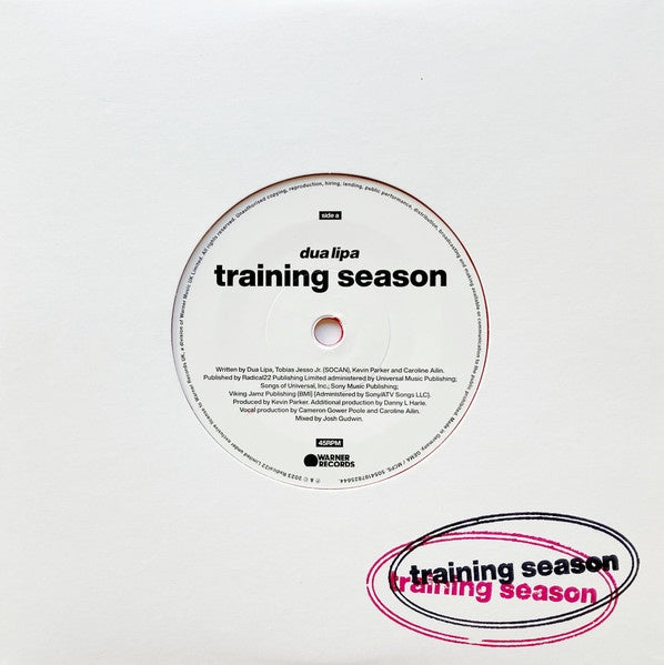Dua Lipa - Training Season 7" Vinyl Single (Used)