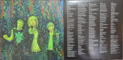 Vines - Wicked Nature Vinyl 2LP (Used)