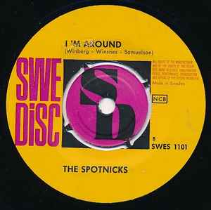 Spotnicks – I Never Get You 7" Vinyl Single (Used)