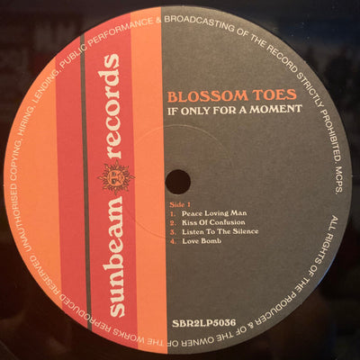 Blossom Toes - If Only For A Moment Reissue Vinyl 2LP (Used)