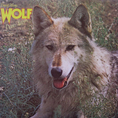 Darryl Way's Wolf - Canis Lupus Vinyl LP (Used)