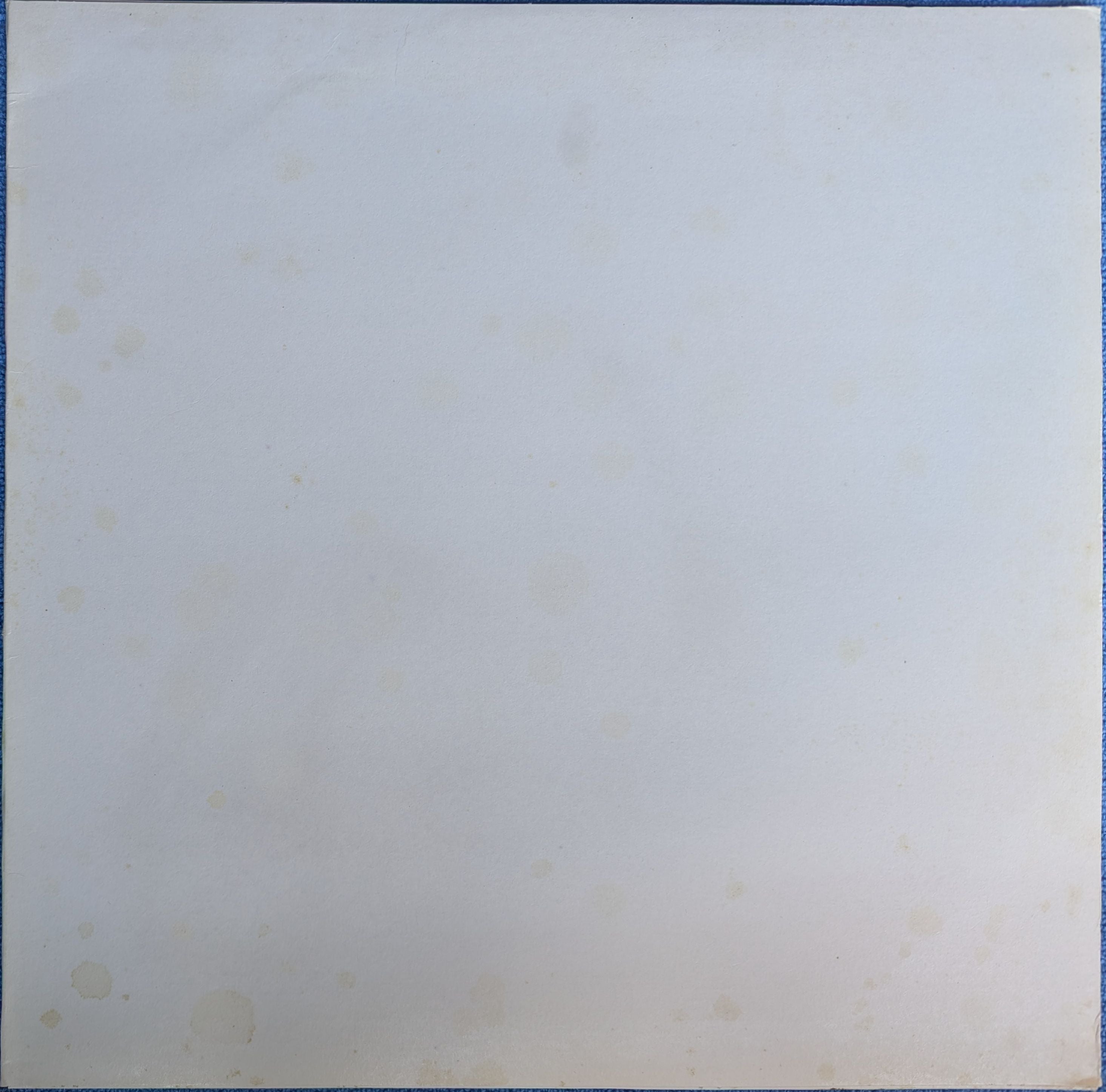 Pink Floyd - The Dark Side Of The Moon Unofficial Blue Marble Coloured Vinyl LP (Used)