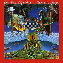 Marvin Gaye - In Our Lifetime Vinyl LP (Used)