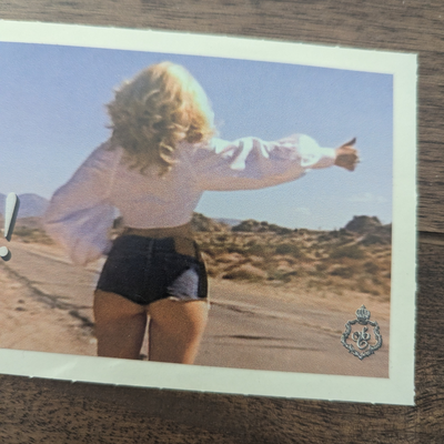 Sabrina Carpenter - Honk If You're Stupid Bumper Sticker