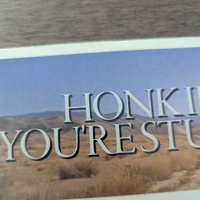 Sabrina Carpenter - Honk If You're Stupid Bumper Sticker