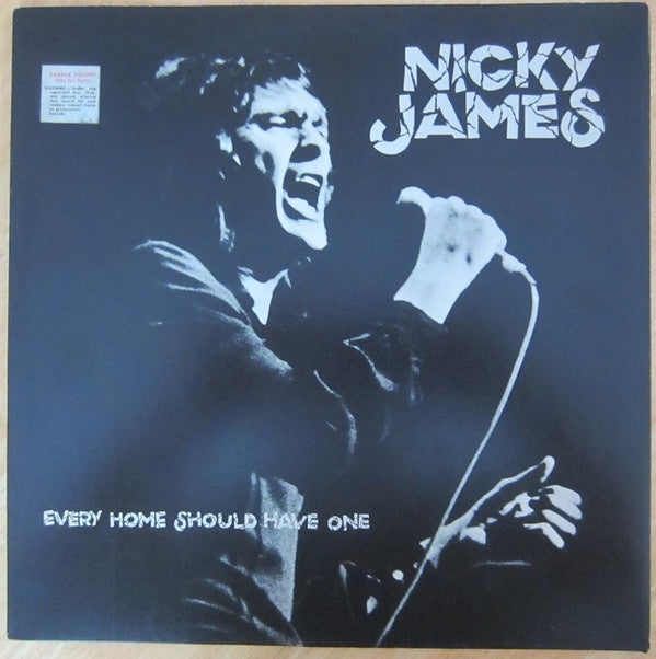 Nicky James - Every Home Should Have One Vinyl LP (Used)
