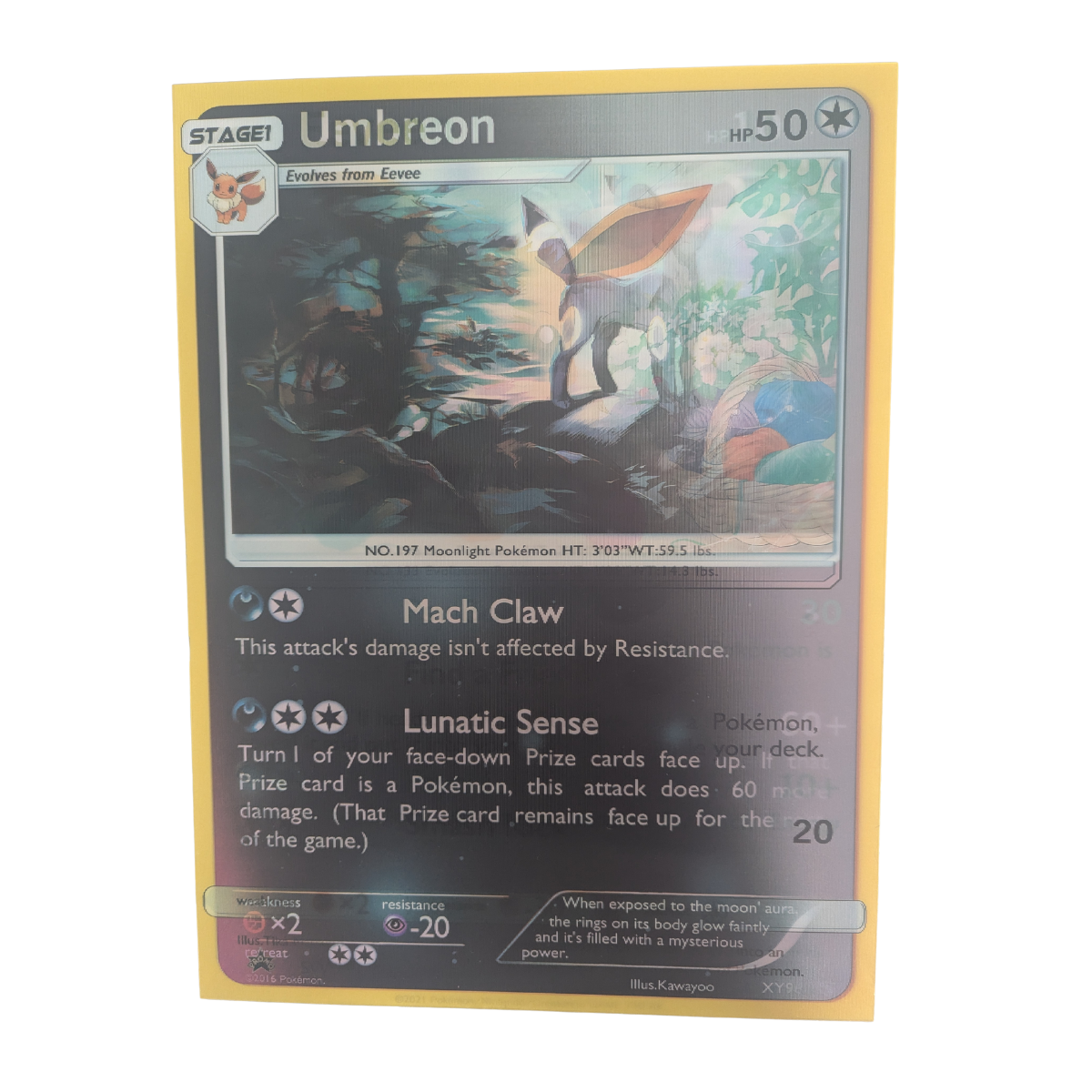 Various Pokemon Trading Cards - 3D Lenticular Poster