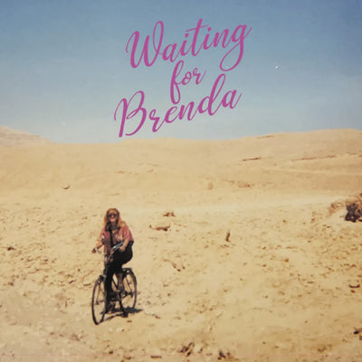 Waiting For Brenda - Friendly Disposition Vinyl LP