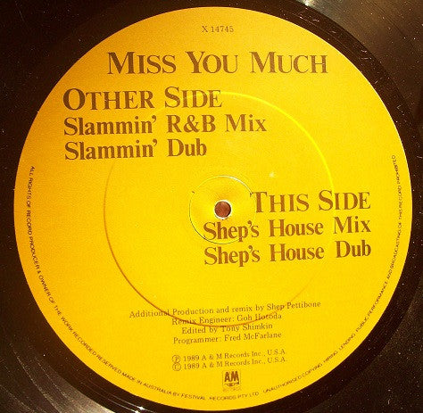 Janet Jackson - Miss You Much 12" Vinyl Single (Used)