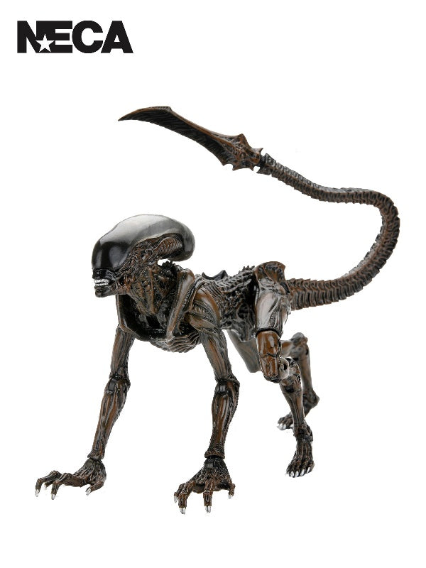 Aliens: Fireteam Elite - Alien Runner 7" Action Figure