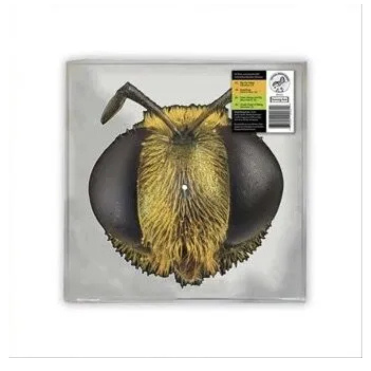 King Gizzard & The Lizard Wizard - Big Fig Wasp RSD 2026 Bee Shaped 12" EP  Vinyl