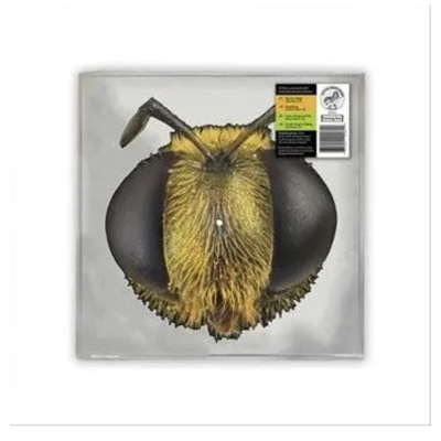 King Gizzard & The Lizard Wizard - Big Fig Wasp RSD 2026 Bee Shaped 12" EP  Vinyl